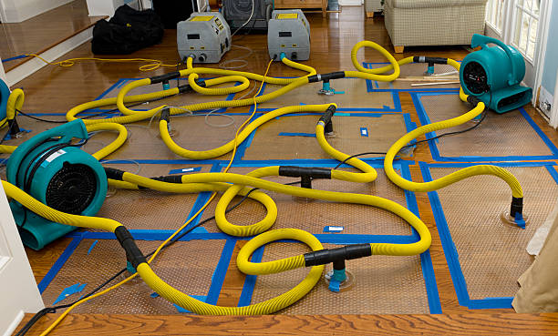 Professional Burst Pipe Water Damage technician working in Oakwood, GA